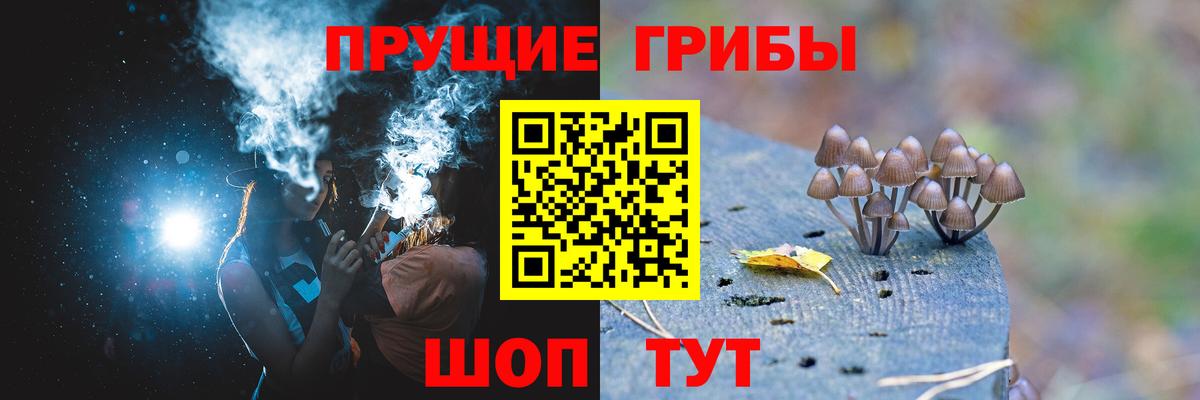 Псилоцибиновые грибы мицелий Курчатов