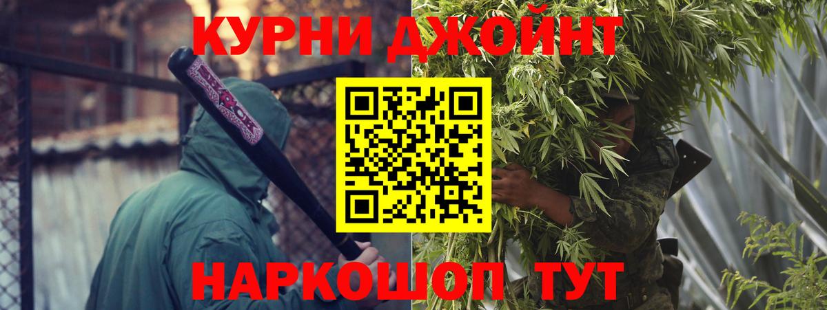 Каннабис план Курчатов